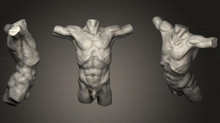 Анатомия мужчины 2